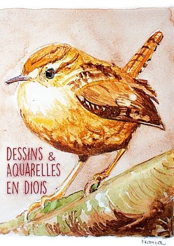 Dessins & Aquarelles En Diois - Atelier Escdd