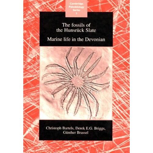 The Fossils Of The Hunsruck Slate - Marine Life In The Devonian, Edition En Anglais