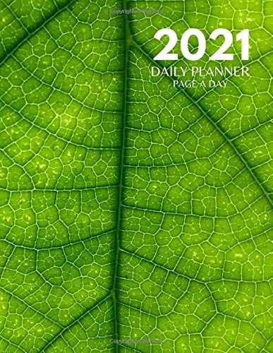 2021 Daily Planner: 2021 Page A Day Calendar , Daily Calendar Organizer Journal Diary , Pretty Gifts For Coworkers Colleagues Family
