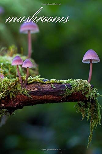 Notebook, Mushrooms: Journal, Diary (100 Pages, Blank, 6 X 9)