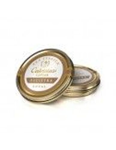 Caviar Calvisius Oscietre Royal 50gr