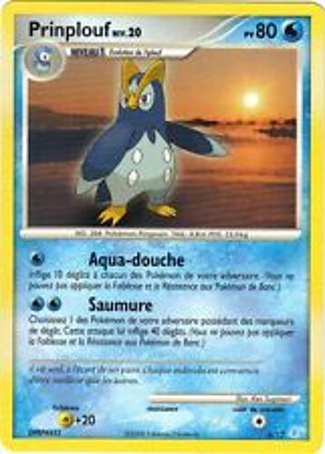 Prinplouf Niv20 Pv80 6/12 