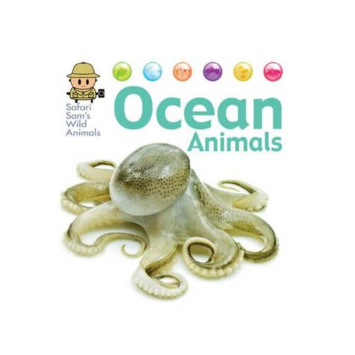 Ocean Animals