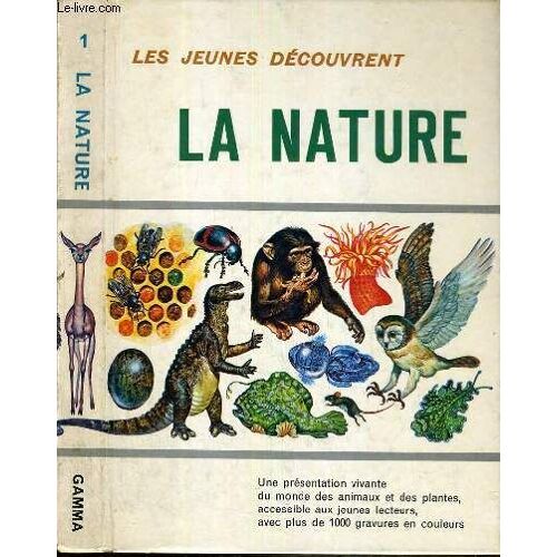 Les Jeunes Decouvrent La Nature
