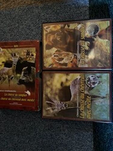 La Chasse Ausanglier - La Chasse Au Chevreuil Avec Meute