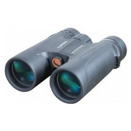 Jumelles Celestron 10x42