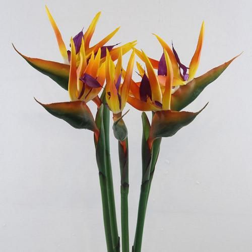 Fleur artificielle oiseau du paradis, fausse plante en soie Strelitzia Reginae, décor de bureau pour maison jardin balcon, plantes décoratives