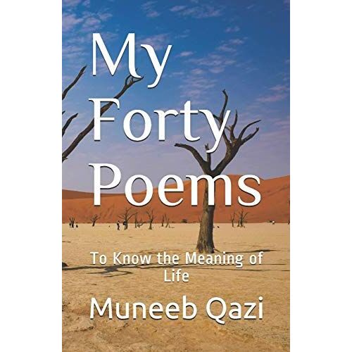 My Forty Poems: To Know The Meaning Of Life