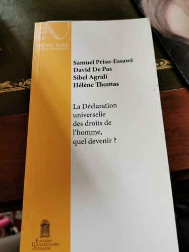 La Declaration Universelle Des Droits De L'homme, Quel Devenir ?