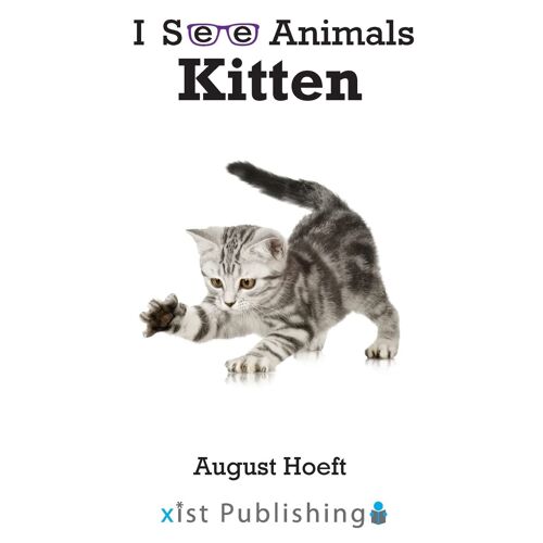 Kitten