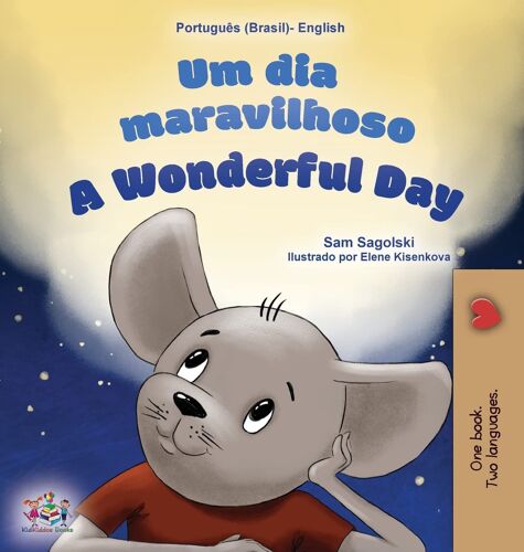 A Wonderful Day (Brazilian Portuguese English Bilingual Book For Kids)