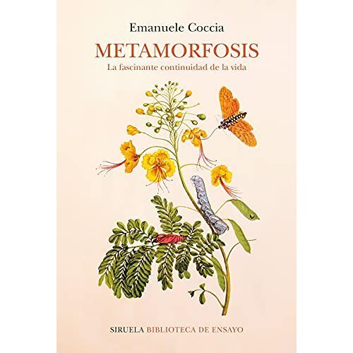 Metamorfosis
