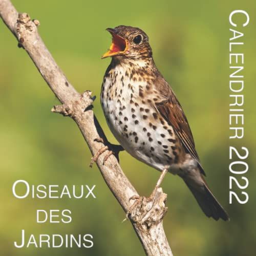 Calendrier Oiseaux Des Jardins: Calendrier Mural En Français Mensuel 12 Mois (Janvier À Décembre) 22 X 22 Cm