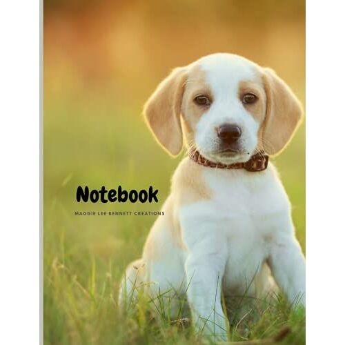 Notebook: Notebook For Writing, Journaling, School, College, Diary.