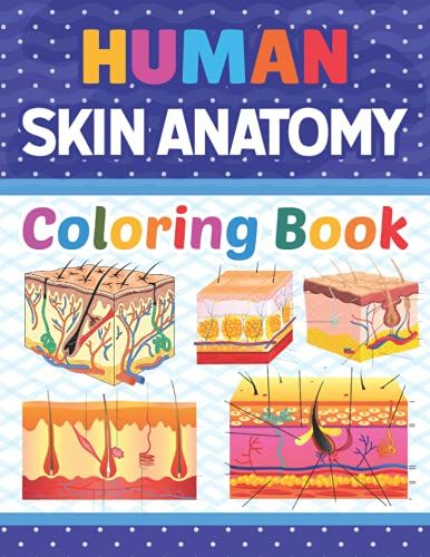 Human Skin Anatomy Coloring Book: Human Skin Anatomy Coloring Work Book For Medical And Nursing Students. Children's Science Books. Human Skin Anatomy ... Coloring And Activity Book For Kids & Adults.