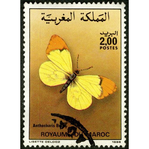Timbre Oblitéré Royaume Du Maroc, Anthocharis Belia, Postes 2.00