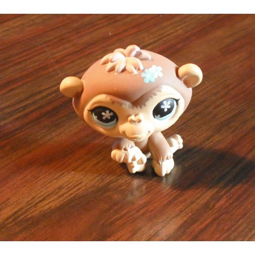 Petshop Chimpanzé N°486