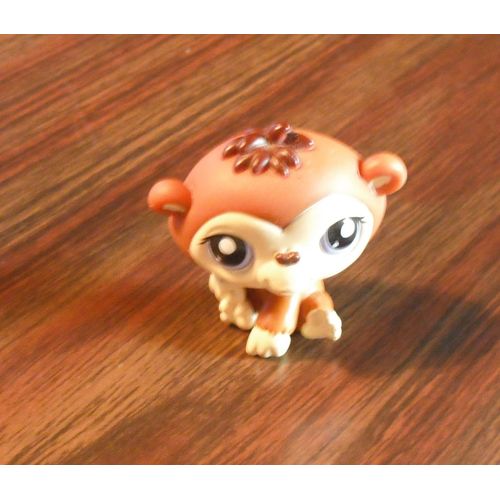 Petshop Chimpanzé N°1347