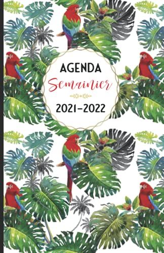 Agenda Semainier 2021-2022: Agenda Scolaire 2021-2022 Pour Fille, Août 2021 À Juillet 2022, Sans Horaire, Collège, Lycée, Bureau, Organisateur ... Souple, Motif Oiseaux, Petit Format A5.