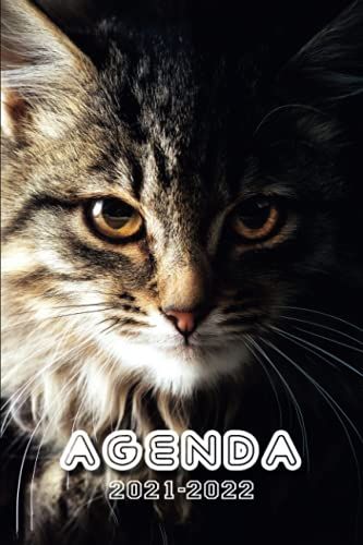 Agenda 2021 2022: Organisateur Scolaire Pour Noter Devoirs | Septembre 2021 À Août 2022 | École, Collège, Lycée Et Etudiants | Portrait De Chat