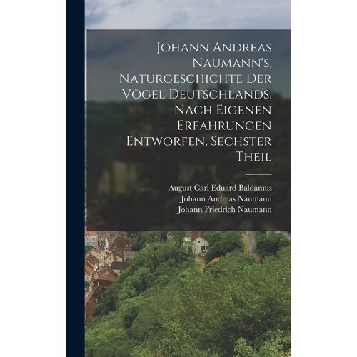 Johann Andreas Naumann's, Naturgeschichte Der Voegel Deutschlands, Nach Eigenen Erfahrungen Entworfen, Sechster Theil