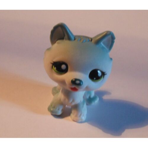 Petshop Husky N°1563