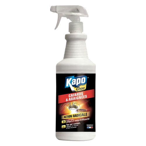 PULVÉRISATEUR ANTI-CAFARDS ET ARAIGNÉES ACTION RADICALE