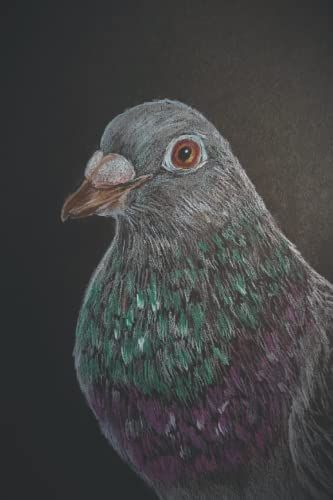 Notizbuch I Journal: Taube "Eckbert, Die Brieftaube": Ein Notizbuch In A5 Mit 120 Karierten Seiten