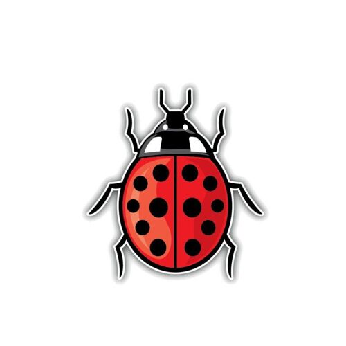 Autocollant Réfléchissant Coccinelle En Vinyle Pour Voiture Kk11 X 10cm, Autocollant De Voiture, Couleur Animal, Rayures, Couverture, Pare Chocs, Carrosserie De Fenêtre
