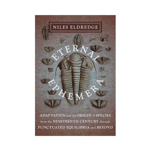 Eternal Ephemera