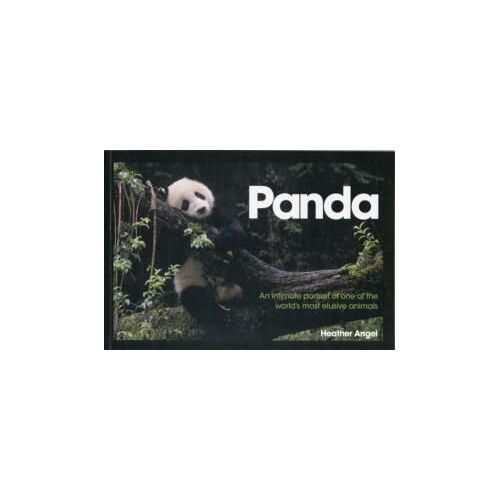 Angel, H: Panda