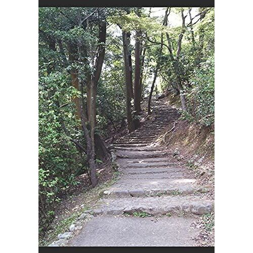 Darkness Falls: A Warren Wedgett Story