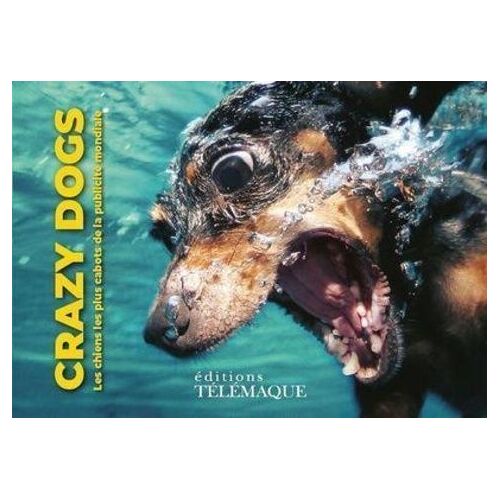 Crazy Dogs - Les Chiens Les Plus Cabots De La Publicité Mondiale
