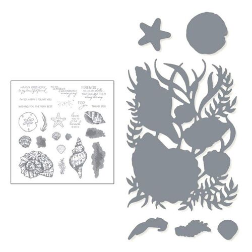 Tampon De Sceau De Conque Avec Matrices De Découpe, Pochoir, Bricolage, Scrapbooking, Gaufrage, Décor D'album Photo, Carte En Papier, Livraison Directe