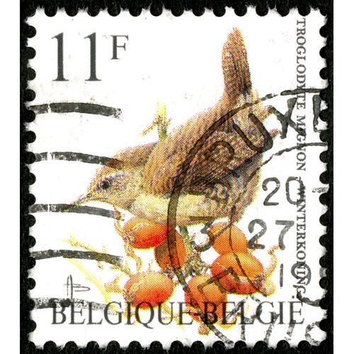 Timbre Oblitéré Belgique - België, Troglodyte Mignon - Winterkoning, 11f