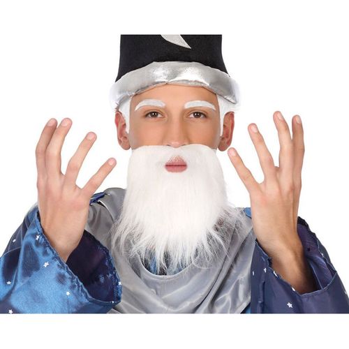 Longue Barbe Blanche Du Sorcier
