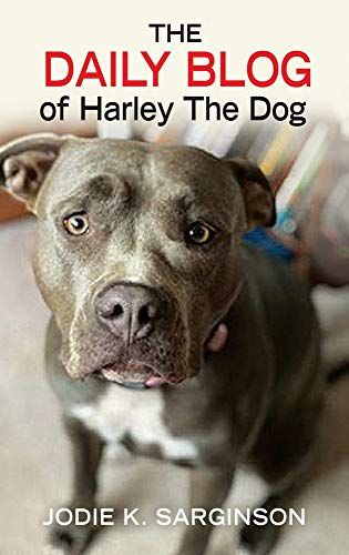 The Daily Blog Of Harley The Dog