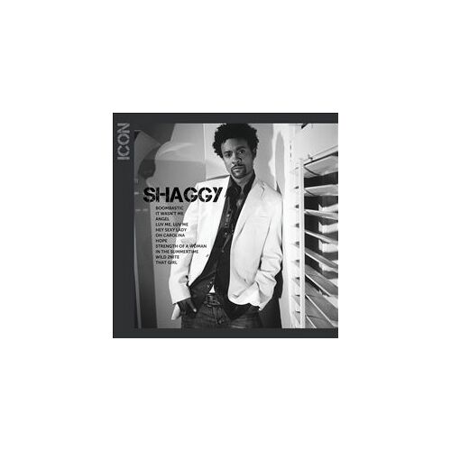 Icon