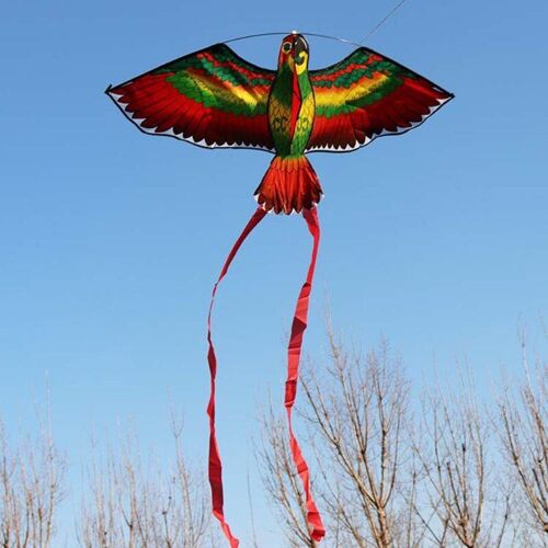Cerf Volant De Perroquet Pour Enfants, Jouets Volants D'extérieur
