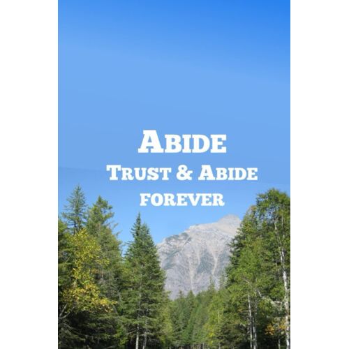 Abide: Trust & Abide Forever (Abide Series): 3d Bible Matrix Project