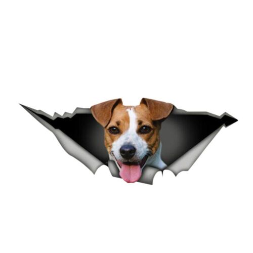 Autocollant De Voiture En Vinyle, 15cm X 7cm, Image En Animaux De Compagnie 3d, Autocollant Pour Fenêtre De Voiture, Ordinateur Portable, Pare Chocs, Animal