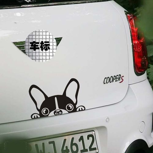 Autocollant De Protection De Voiture Pour Honda, Hyundai, Kia, Volkswagen, Skoda, Golf, Ford Focus, Renault, Peugeot