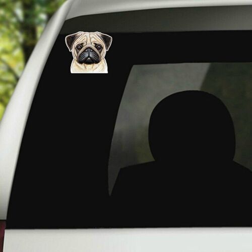 Autocollant De Voiture De Dessin Animé, 13cm X 11cm, Adorable Carlin, Chien Triste, Autocollant De Couverture En Vinyle Coloré Drôle, Décoration Automobile