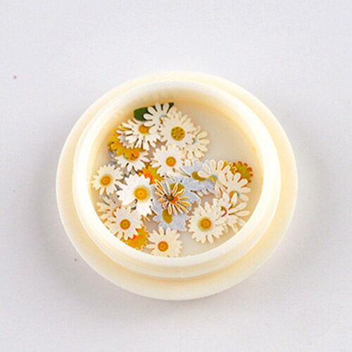 Boîte De Pochoirs En Pâte De Bois, Pochoirs Uv En Résine Époxy, Fleurs Décoratives En Papier, Artisanat De Manucure Diy, Vente De Pr