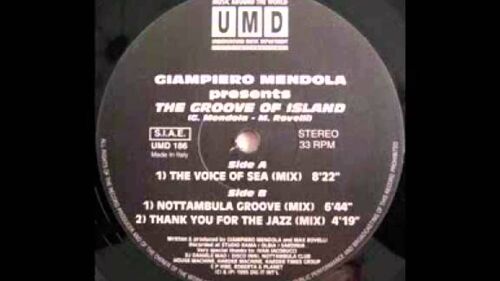 The Groove Of Island