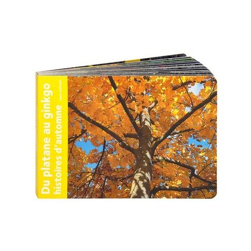 Du Platane Au Gingko - Histoires D'automne
