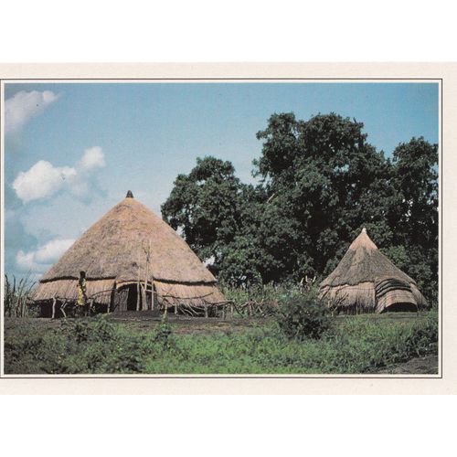 Soudan, " Village Shilluk Dans Le Sud ".