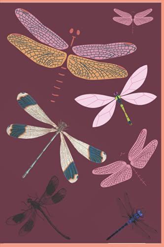 Things To Do : Dragonfly Design, Composition Notebook, 120 Pages, Matte Finish