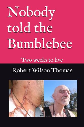 Nobody Told The Bumblebee: Two Weeks To Live