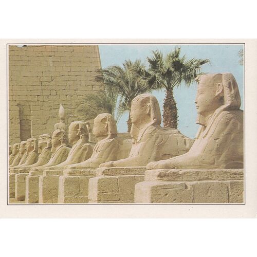 Egypte, " Karnak, Allée Des Sphinx ".